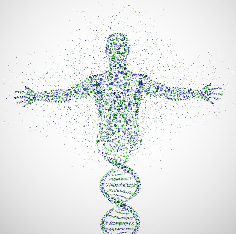 אדם עשוי מולקולות דנא DNA